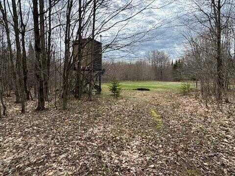 Tee Lake RD, Germfask, MI 49836
