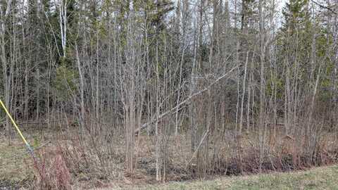 Charles Moran RD, Moran, MI 49760