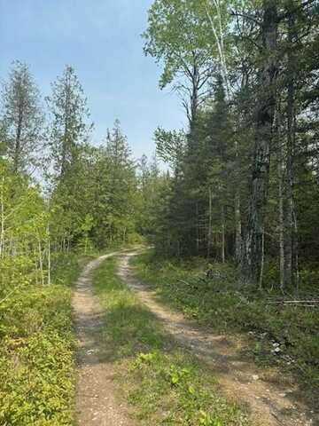 Tbd W M-134 HWY, Hessel, MI 49745