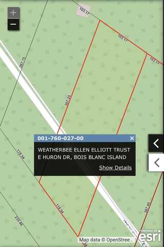 26 E Huron, Bois Blanc, MI 49775