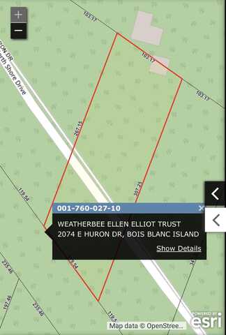 27 E Huron, Bois Blanc, MI 49775