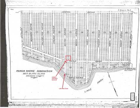 4852 Beech & Maple AVE, Bois Blanc, MI 49775
