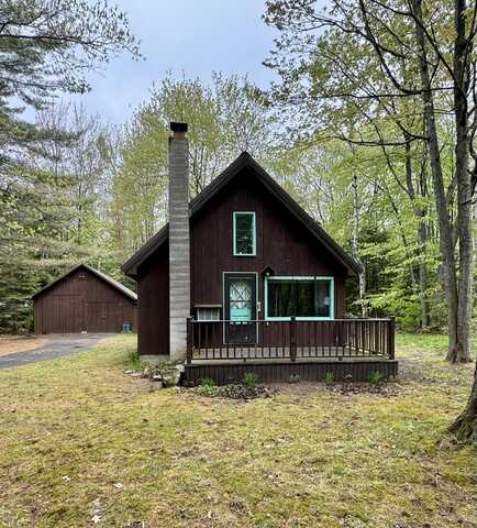 7125 Clinton AVE, Carp Lake, MI 49718