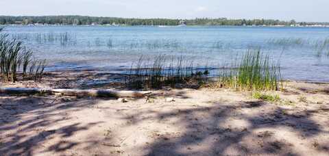 800 S Big Lasalle Island, Cedarville, MI 49719