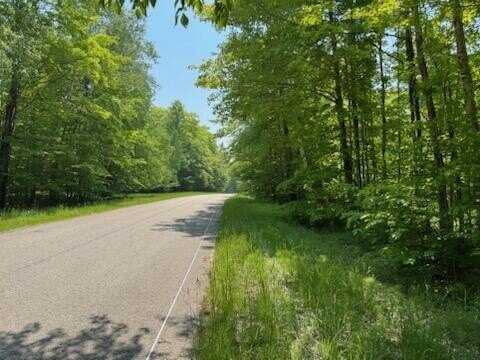 Co. Rd 98 & Co Rd 479, Mc Millan, MI 49853