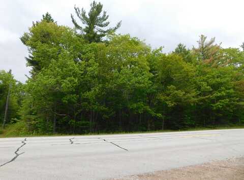 Tbd E M 134 HWY, De Tour Village, MI 49725