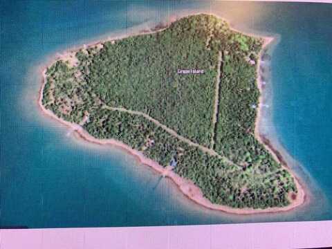 S Grape Island, Drummond Island, MI 49726