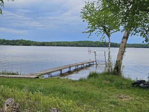 W17338 Zellar RD, Curtis, MI 49820