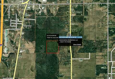 40ac M/L S M-129, Muir, MI 49783