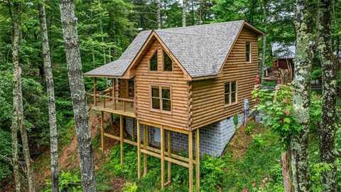 231 Conley Branch Road, Blue Ridge, GA 30513