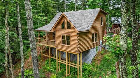 231 Conley Branch Road, Blue Ridge, GA 30513