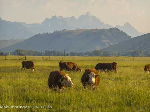 120 ACRES SOUTH PARK LOOP Road, Jackson, WY 83001
