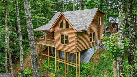 231 Conley Branch RD, Blue Ridge, GA 30513