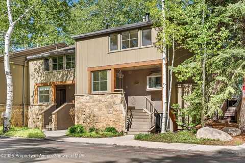 100 N 8th Street 24, Aspen, CO 81611