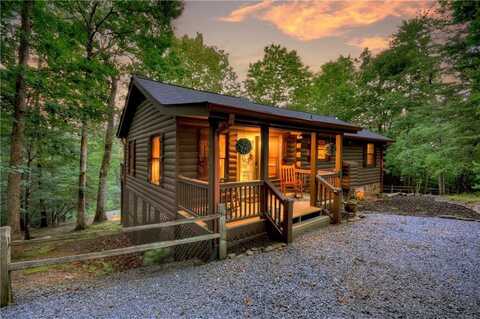 97 Doyle Carder Parkway, Blue Ridge, GA 30513