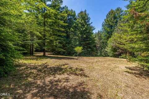 15620 Shane Drive, Fort Bragg, CA 95437