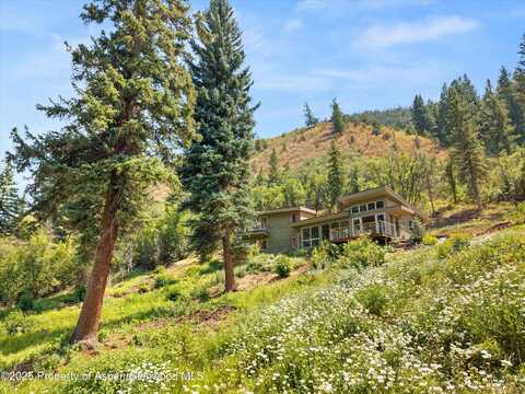 768 Kings Lake Road, Basalt, CO 81621