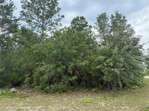 TBA SW 138TH LANE, OCALA, FL 34473