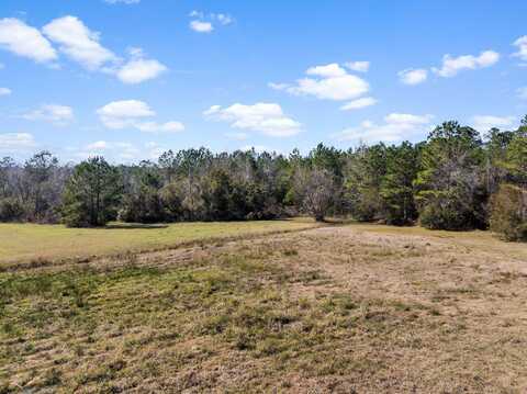 402 Mistletoe Lane, Monticello, FL 32344