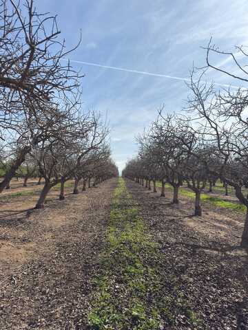 30953 Avenue 20 1/2, Madera, CA 93638