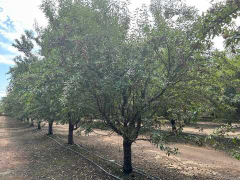 14487 Road 20 1/2, Madera, CA 93637