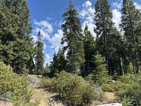 42307 Cook Cabin Lane, Shaver Lake, CA 93664