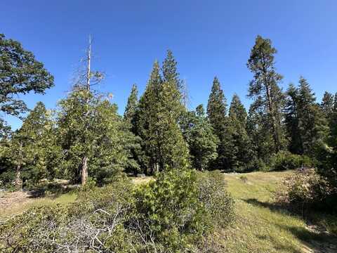 42346 Cook Cabin Lane, Shaver Lake, CA 93664