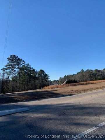0 Nicholson Road, Sanford, NC 27332