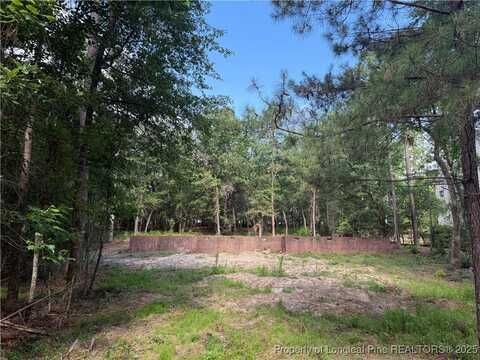 308 Chestnut Drive, Vass, NC 28394