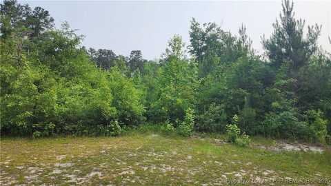 undefined, Lumber Bridge, NC 28371