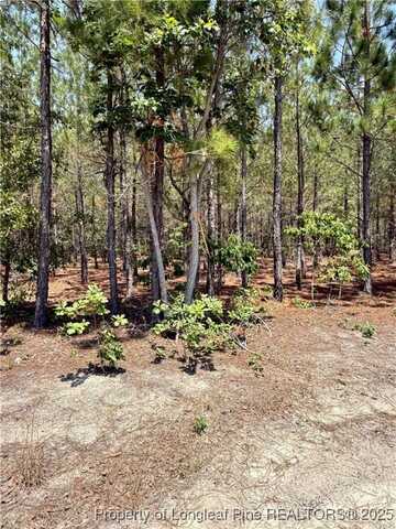undefined, Wagram, NC 28396