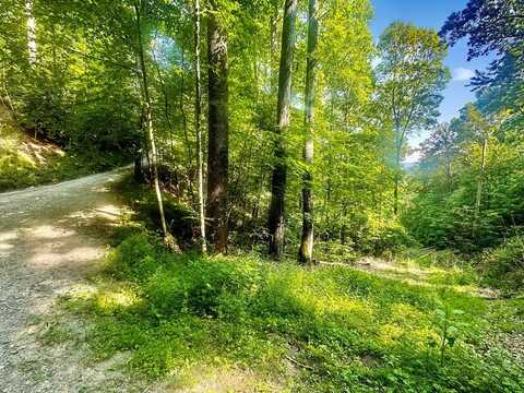 Upper Sawyers Creek Rd, Robbinsville (Graham), NC 28771
