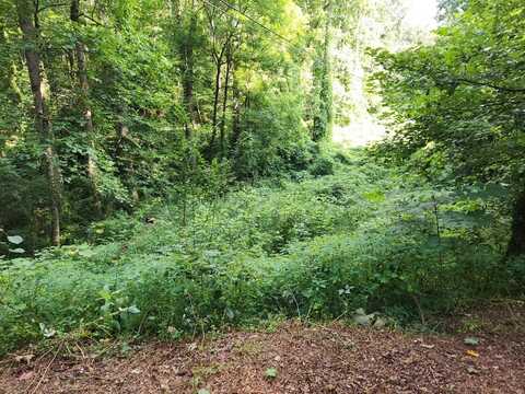 Lot S-16 Town Mountain Drive, Franklin, NC 28734