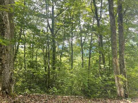 500 Fernwood Drive, Bryson City, NC 28713