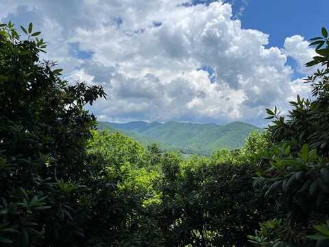 600 Fernwood Drive, Bryson City, NC 28713