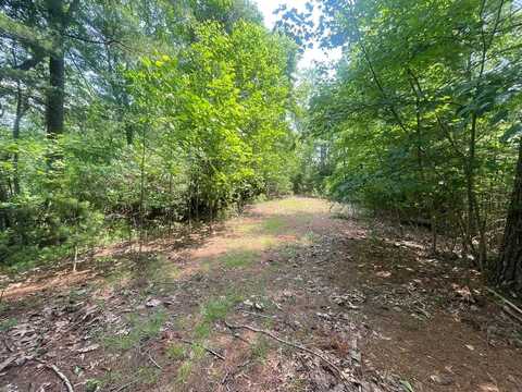 Lot 29 Tessentee Woods Rd, Franklin, NC 28734