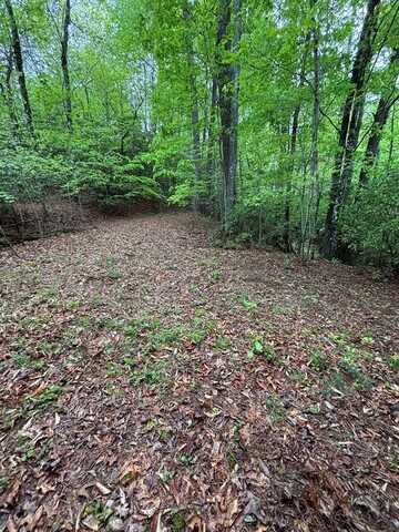 Willow Pond Road, Franklin, NC 28734
