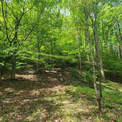 165 Holly Ln, Franklin, NC 28734