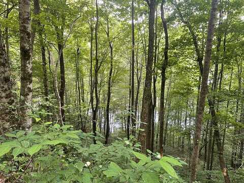 200 Sweet Birch Lane, Tuckasegee, NC 28783