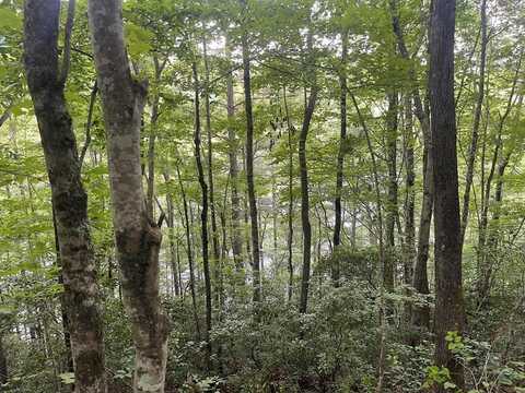 2642 Canada Road, Tuckasegee, NC 28783