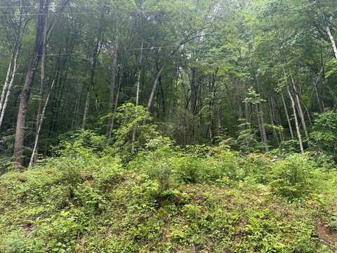 Corbin Hills Drive, Franklin, NC 28734