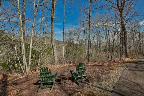82-85 Waterdance Dr, Tuckasegee, NC 28783
