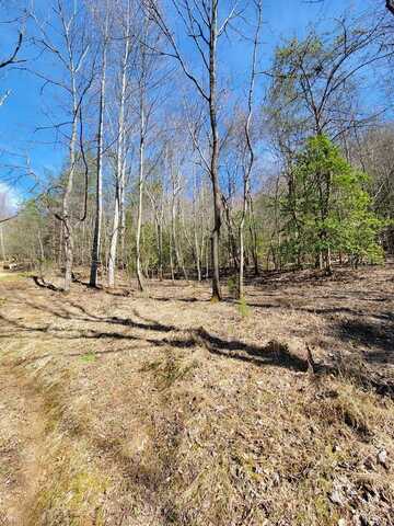 Watson Cove Rd., Franklin, NC 28734