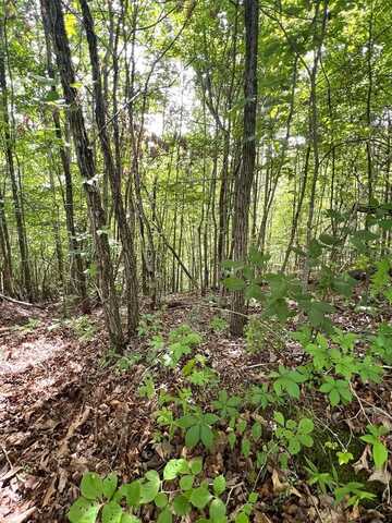Red Hill Road, Bryson City, NC 28713