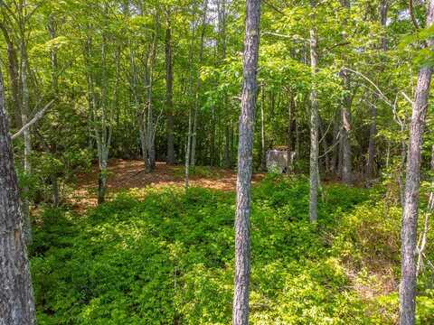 Welch Rd, Franklin, NC 28734