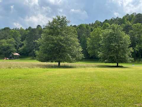 Lot 50 Brasstown Trails, OTHER, NC 28909