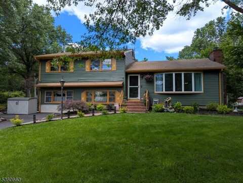 539 Alletra Avenue, Bridgewater, NJ 08807