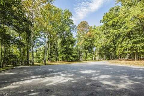 149 Overleigh Rd, Bernardsville, NJ 07924