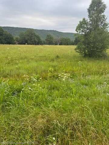 TBD W State HWY 22, Paris, AR 72855