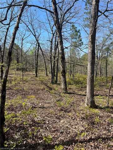 Tract 2 K Trail, Talihina, OK 74571
